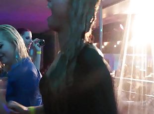 Slutty girls dancing erotically in a club
