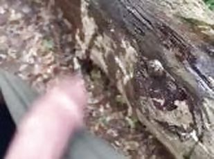 Compilation gay outdoor dick masturbation  and piss