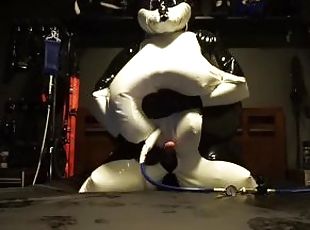 Inflatable Husky Jerk-off