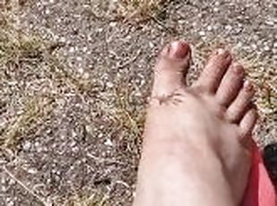 Anklet socks garden walk. Grass is dry so a little bit of cracking under my feet.????