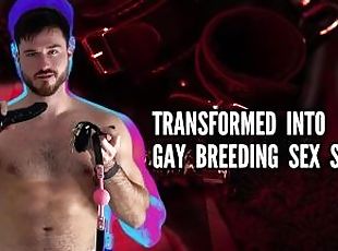 Transformed into gay breeding sex slave