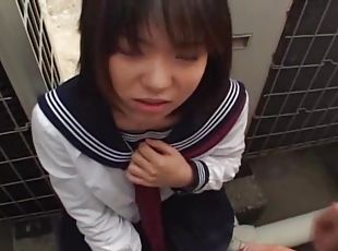 Japanese schoolgirl sucks cock Uncensored