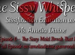 The Sissy Mold Break That Bitch  The Sissy Whisperer Podcast